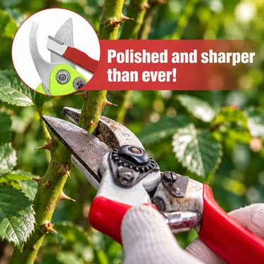Knife Sharpener (KS9)