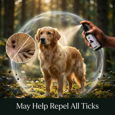 Anti-Tick & Flea Spray For Pets B1G1 (2PETC8)