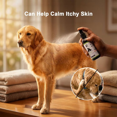 Anti-Tick & Flea Spray For Pets B1G1 (2PETC8)