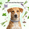Anti-Tick and Flea Dog Collar (PET12)