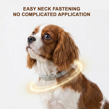 Anti-Tick and Flea Dog Collar (PET12)