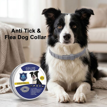 Anti-Tick and Flea Dog Collar (PET12)