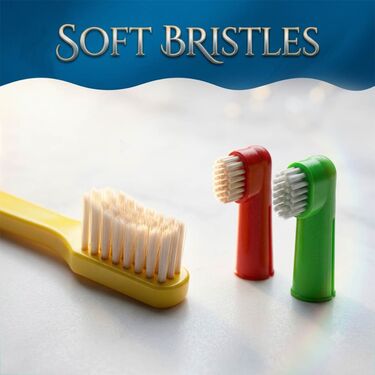 3 Pcs Pet Dental Toothbrush Kit (PET13)