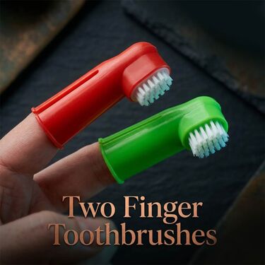 3 Pcs Pet Dental Toothbrush Kit (PET13)