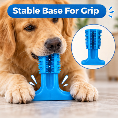 Pet Teeth Cleaner Toy (PET18)