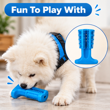 Pet Teeth Cleaner Toy (PET18)