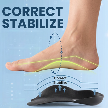 Arch Support Insole (PR229)